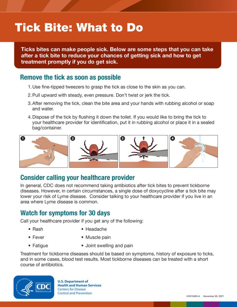 Tick Safety