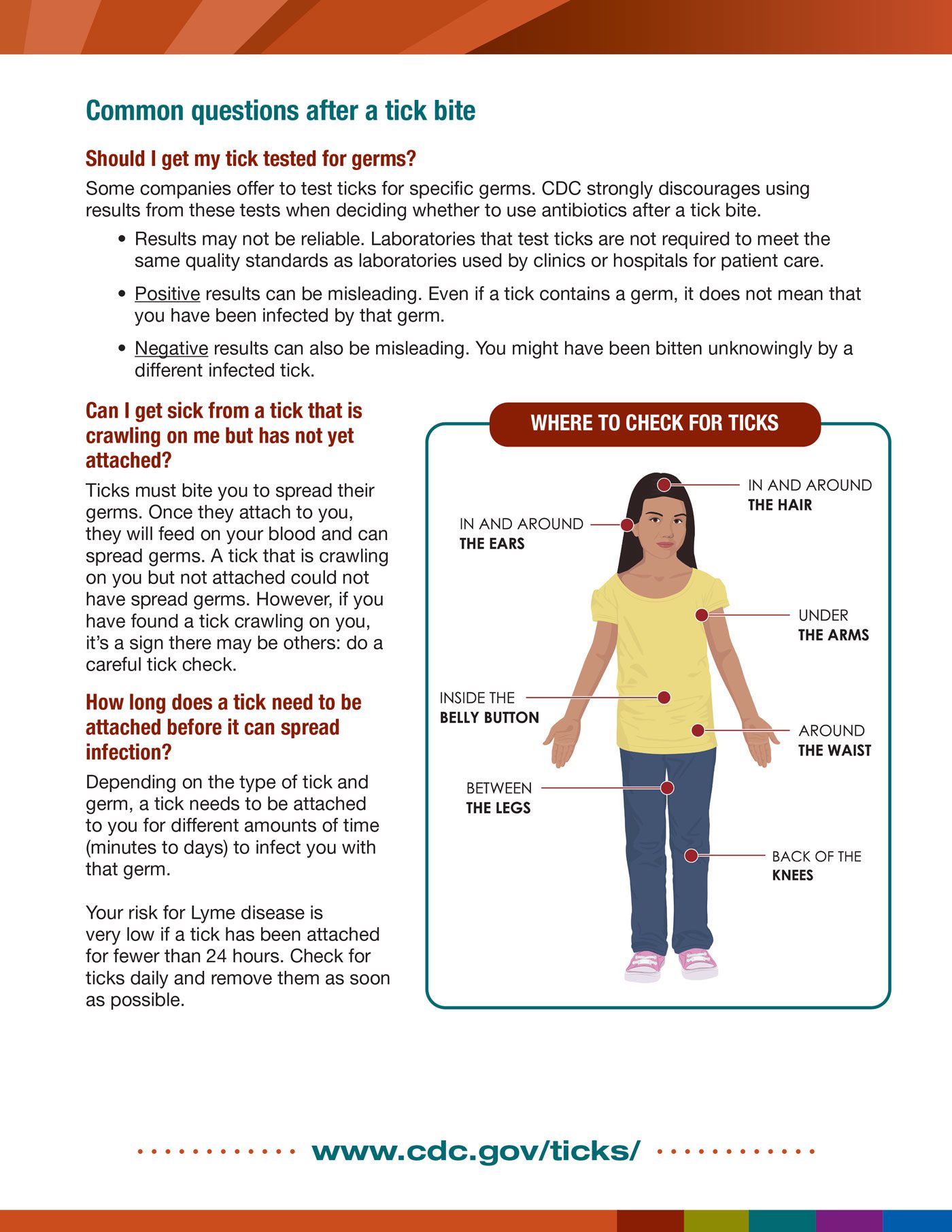 Tick Safety