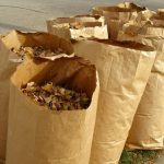 Paper bag, Leaves
